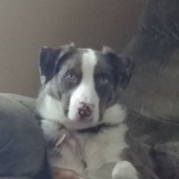 connorsmom2